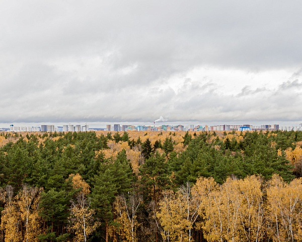 Квартира Саларьевская